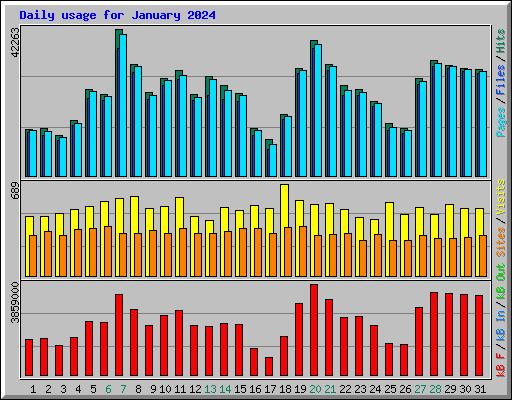 Daily usage for January 2024