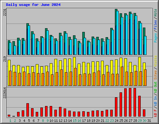 Daily usage for June 2024