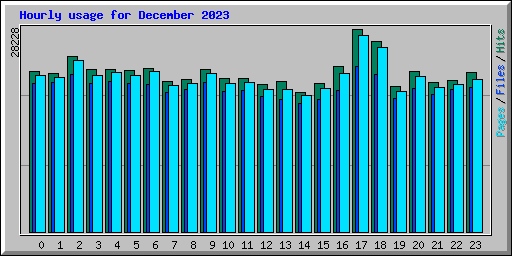 Hourly usage for December 2023