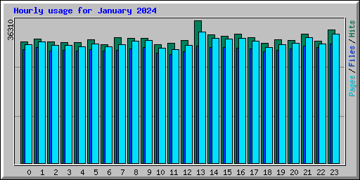 Hourly usage for January 2024