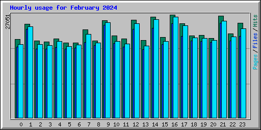 Hourly usage for February 2024