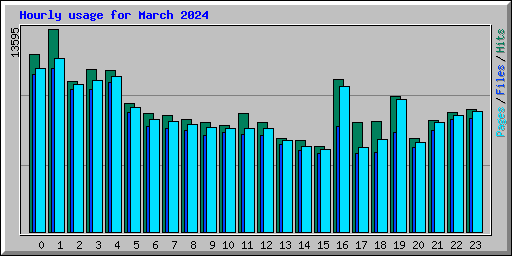 Hourly usage for March 2024