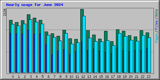 Hourly usage for June 2024