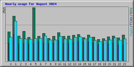 Hourly usage for August 2024